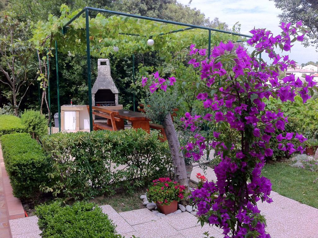 Graso Apartament *